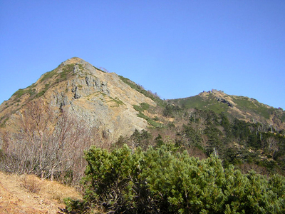 ag7.jpg