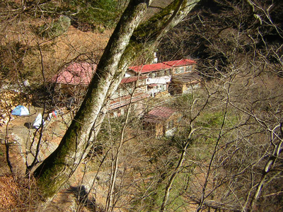 daikumo10.jpg