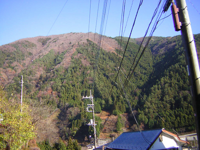 daikumo6.jpg