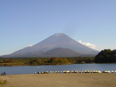 fujis2.jpg