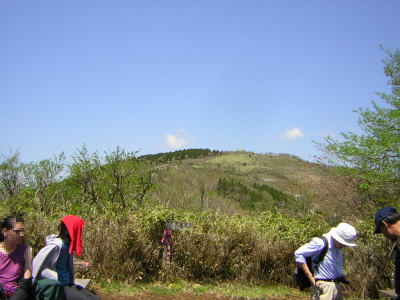 ninoto2.jpg