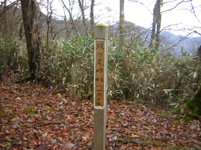 ootakihirano14.jpg