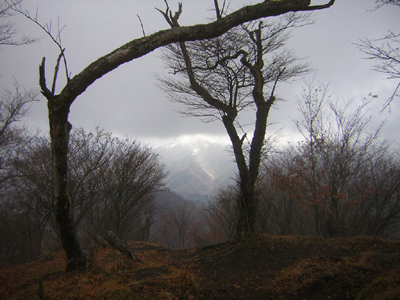 ootakihirano19.jpg