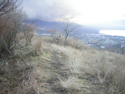 ootakihirano32.jpg