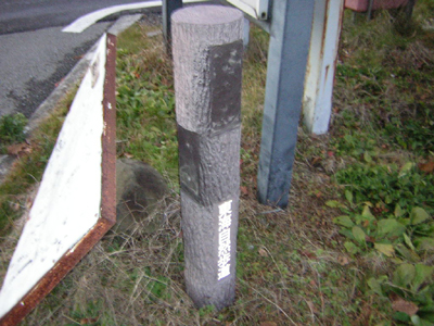 ootakihirano35.jpg