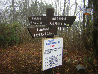 ootakihirano8.jpg