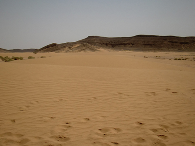 s21.jpg