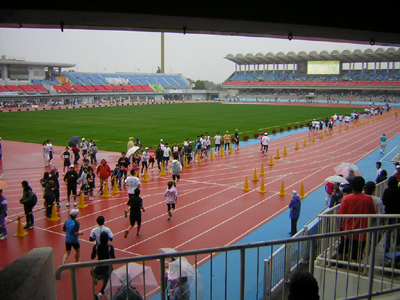 todoroki20082.jpg